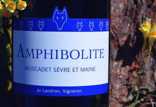 Amphibolite
