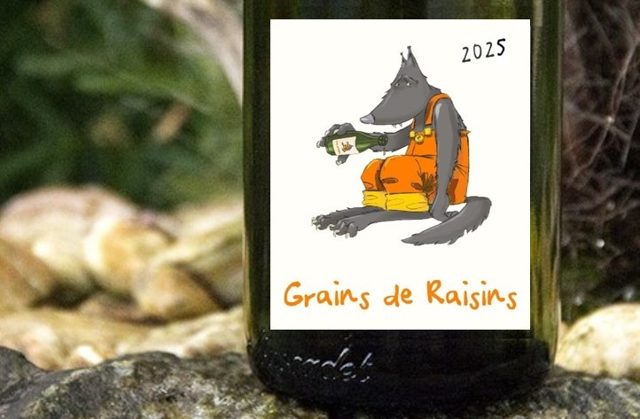 Grains de Raisins