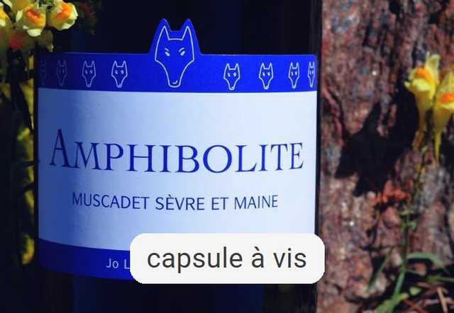 Amphibolite